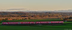 "Wackeldackel" vor Alpen-Panorama