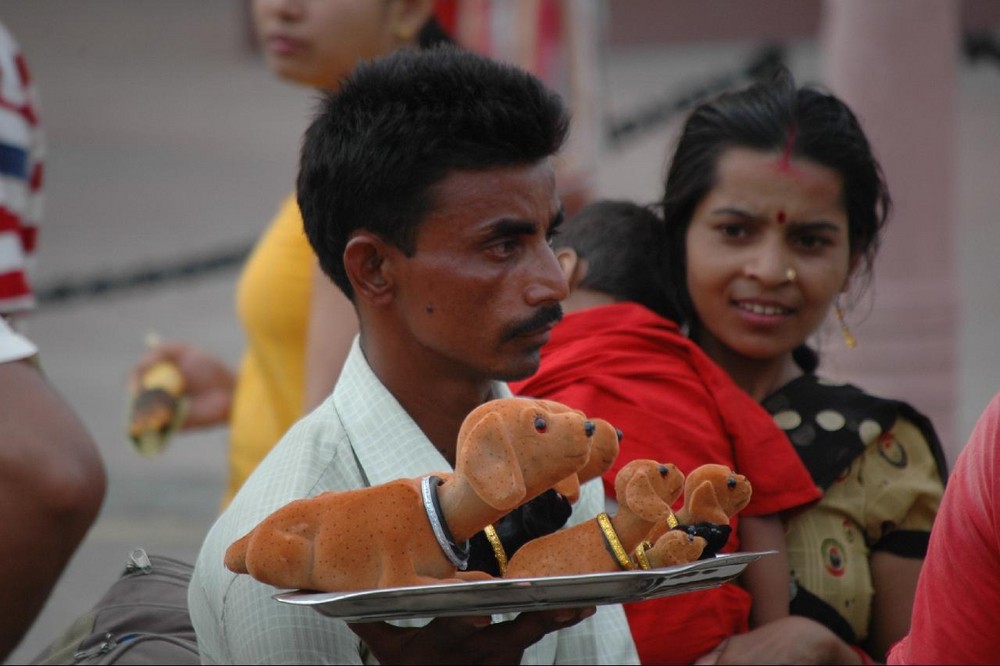 Wackeldackelfachverkäufer in New Delhi