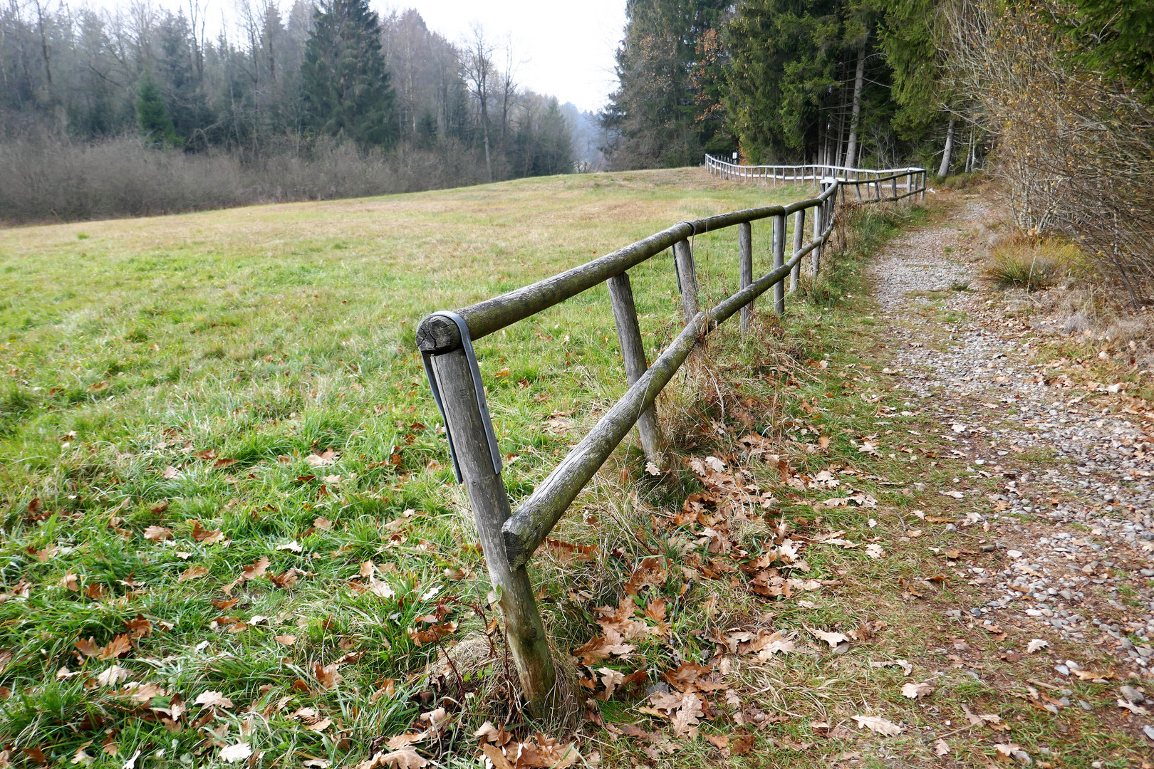 Wackeliger Spätherbst