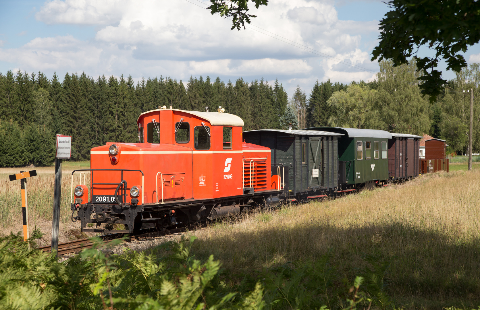 Wackelstein Express