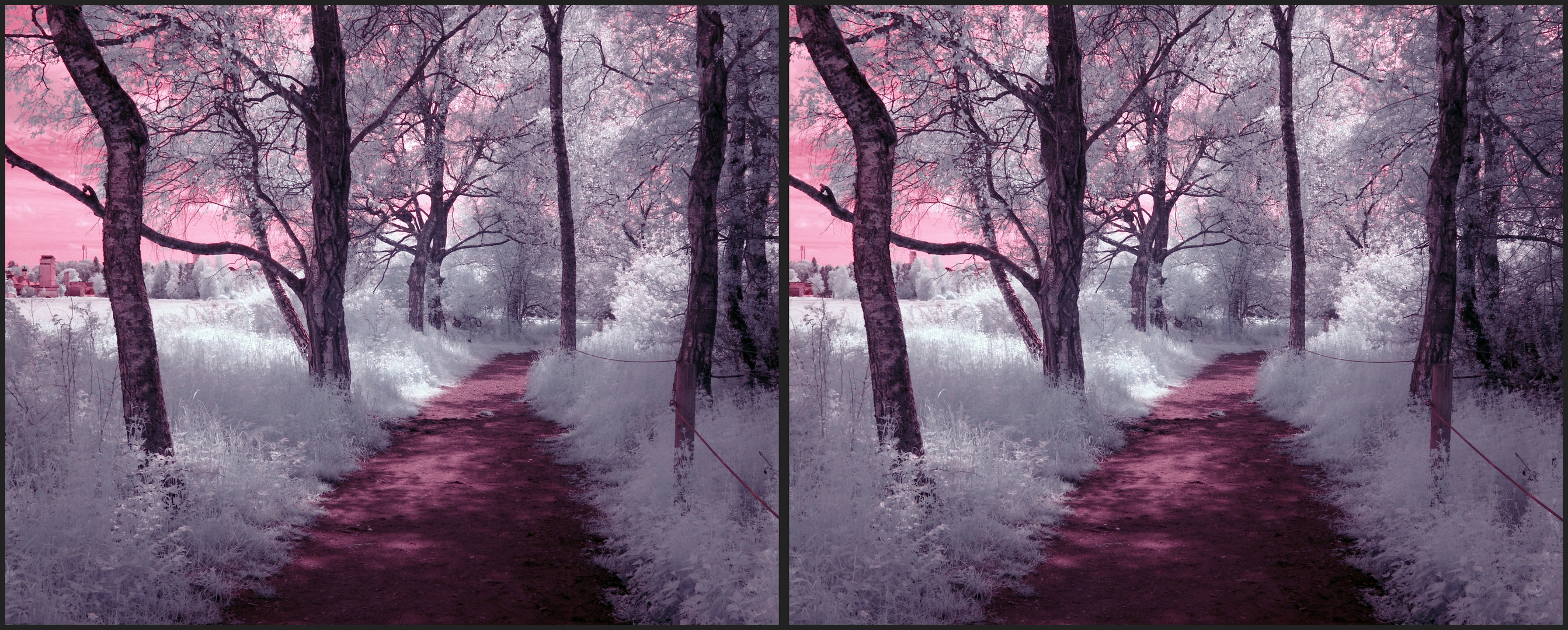 Wackelwald 3D (IR)