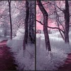 Wackelwald 3D (IR)