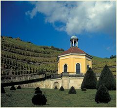 Wackerbarth`sche Weinberge