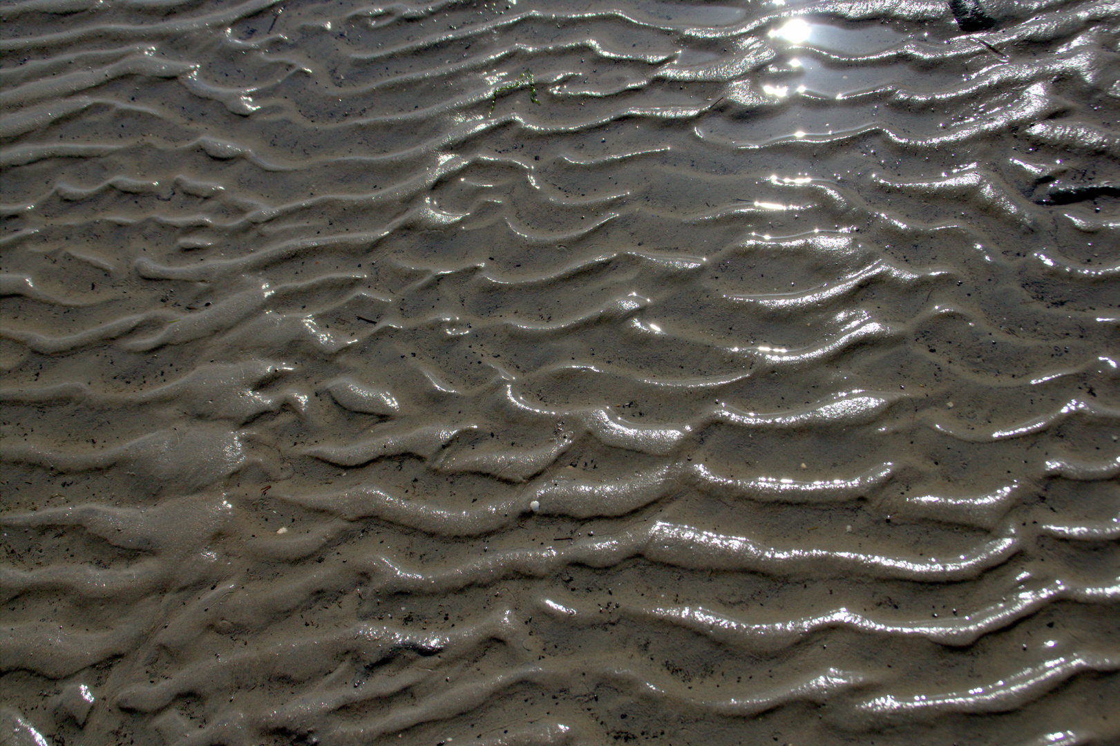 Wadden Sea National Park