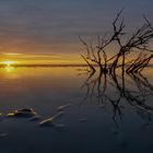 wadden sea unesco world heritage