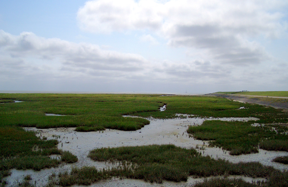 Waddenzee