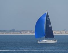 Waddenzee 2024