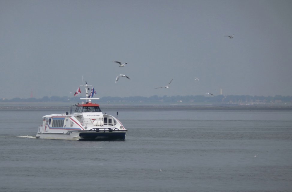 WADDENZEE