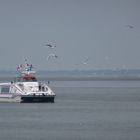 WADDENZEE