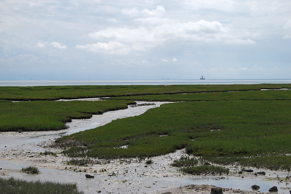 Waddenzee