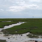 Waddenzee