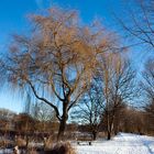 Waderweg an der Lippe