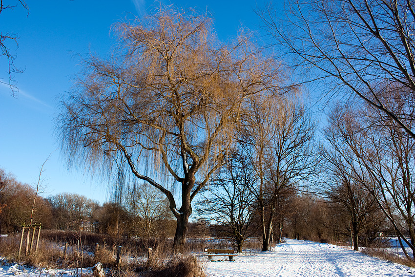 Waderweg an der Lippe