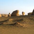 Wadi Al Hitan