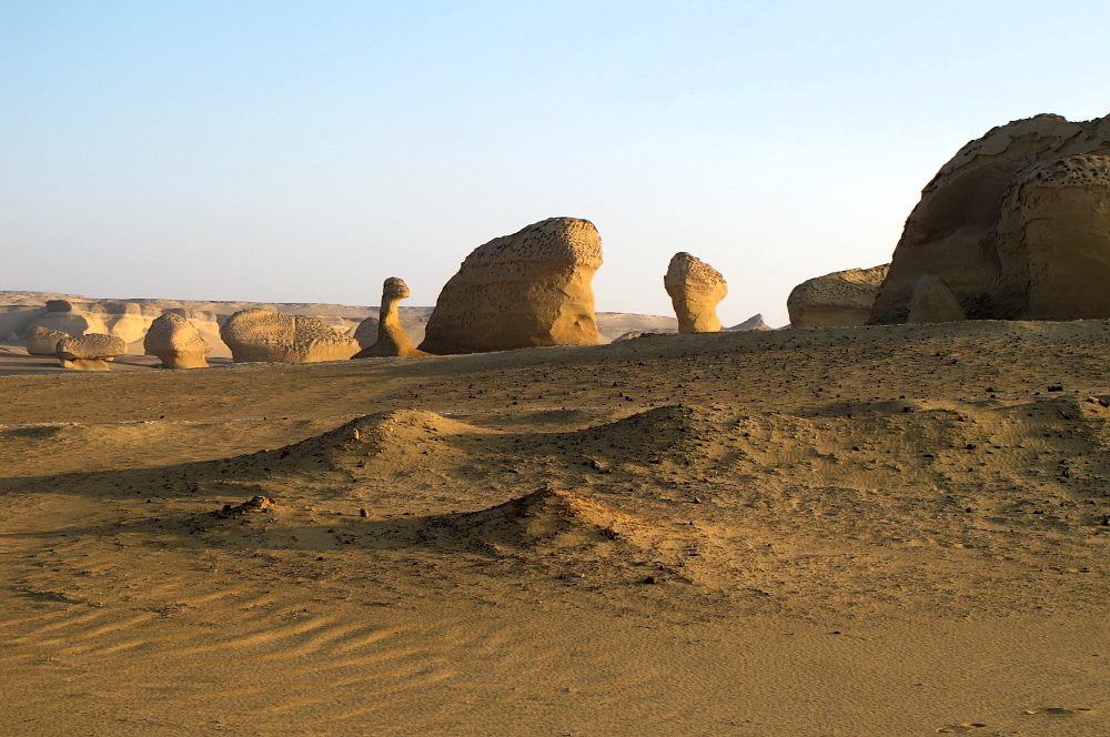 Wadi Al Hitan