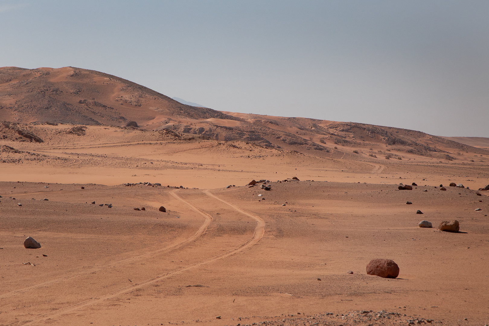 wadi arava