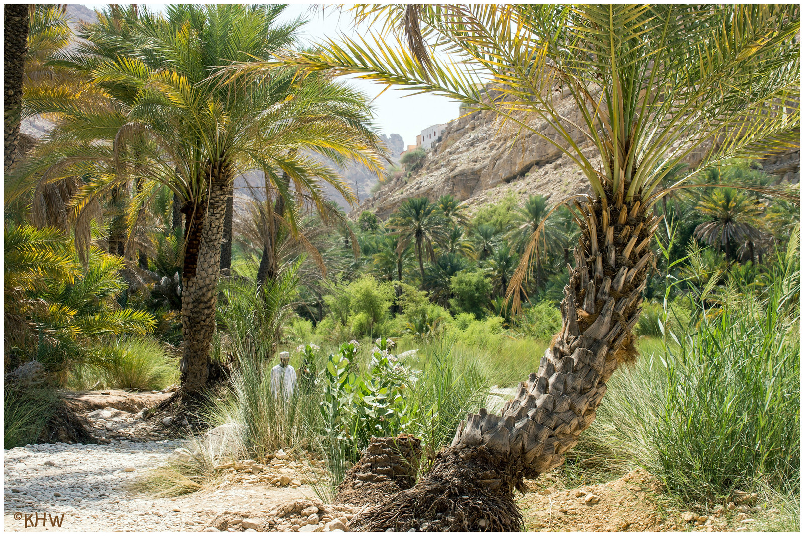 Wadi Bani Khalid (Oman)