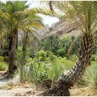 Wadi Bani Khalid (Oman)