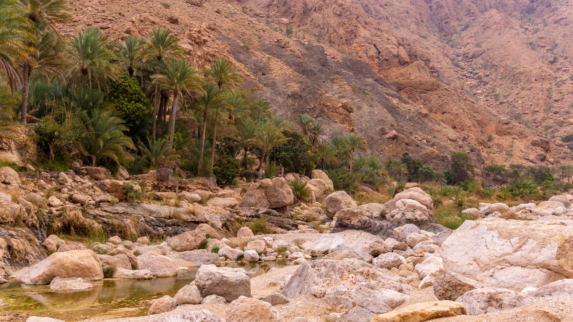 Wadi Bani Khalid Oman