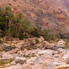 Wadi Bani Khalid Oman