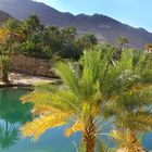 Wadi Bani Khalid Pool