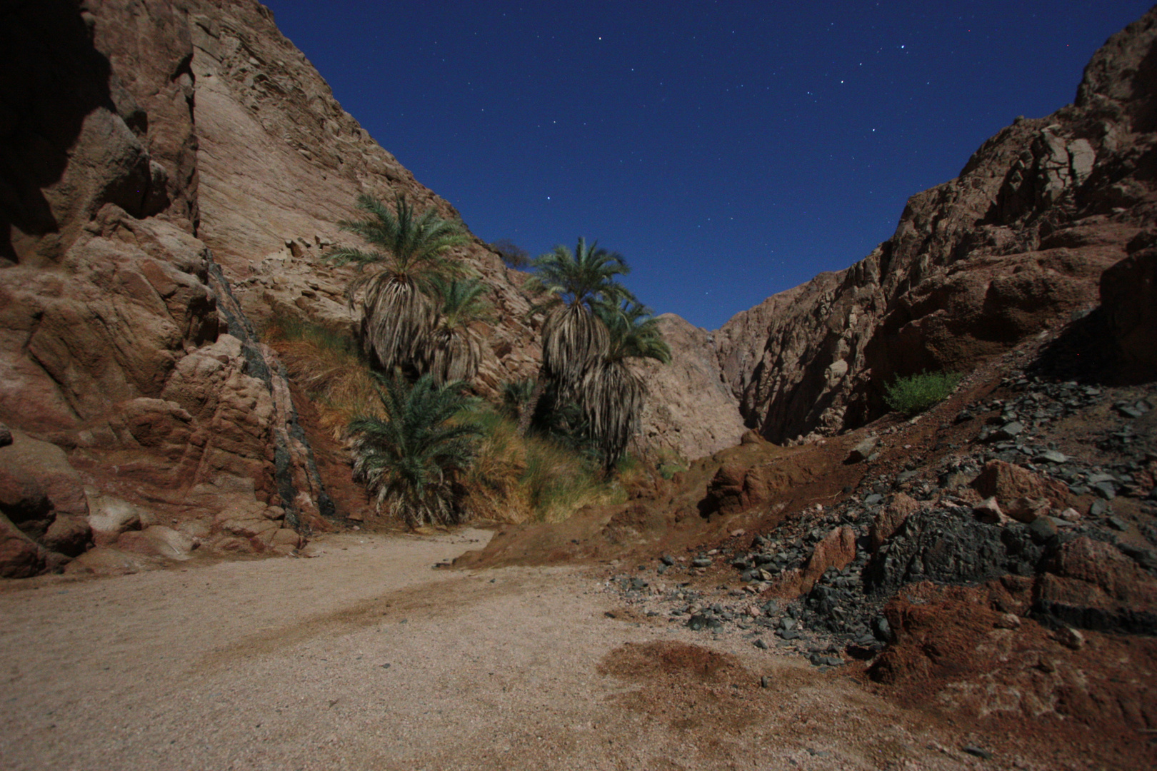 Wadi bei Vollmond