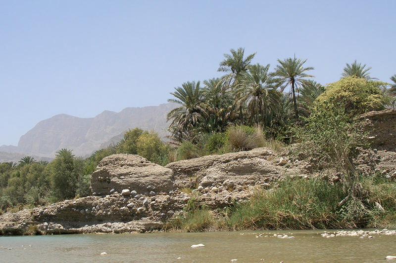 Wadi Dayqha.