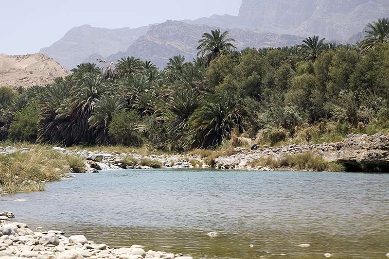Wadi Dayqha