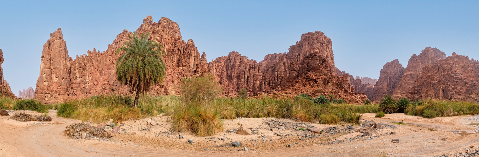 Wadi Disah – die einzigartige Schönheit Saudi Arabiens