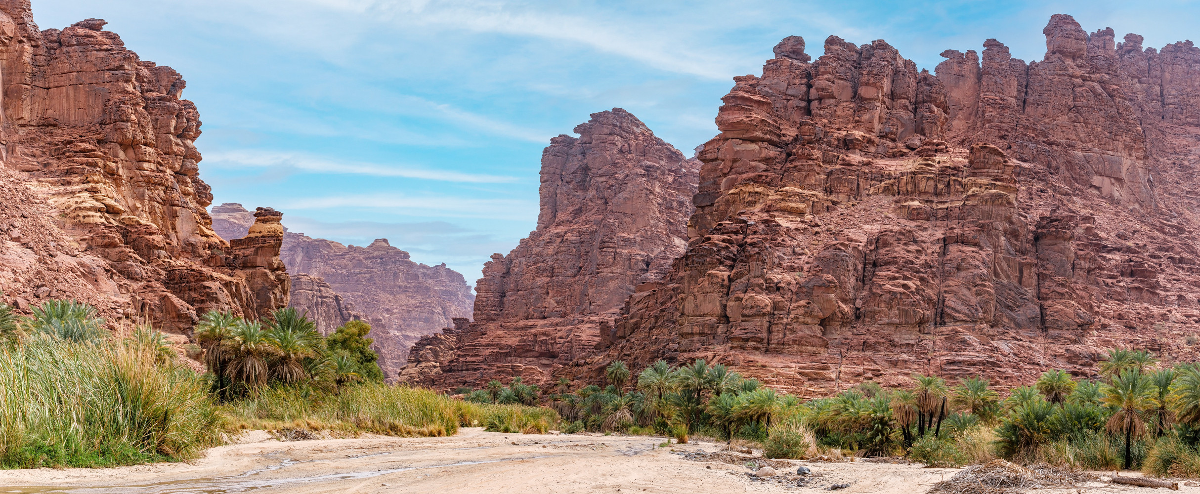 Wadi Disah – die einzigartige Schönheit Saudi Arabiens