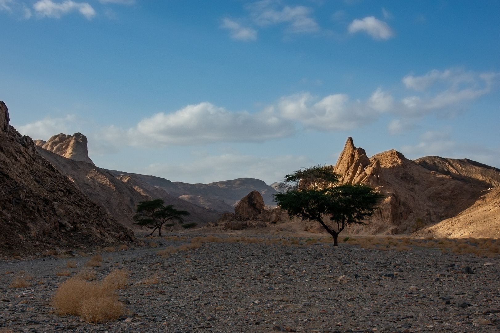 Wadi el Gemal