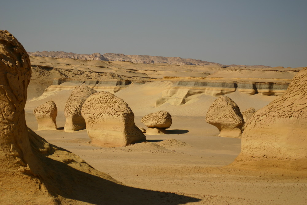 Wadi El-Hitan