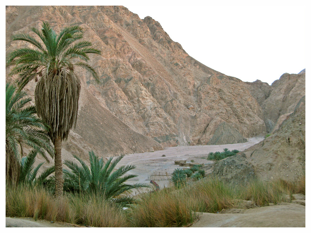 Wadi Gnai / Sinai