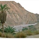 Wadi Gnai / Sinai