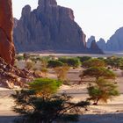 Wadi im Tschad