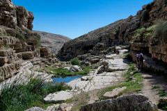 Wadi Kelt'