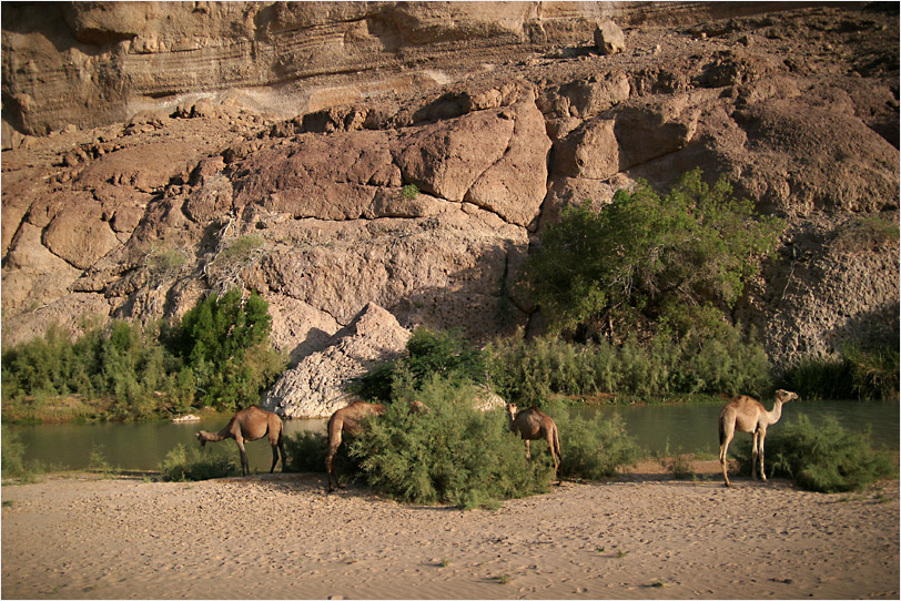 Wadi Massilah II