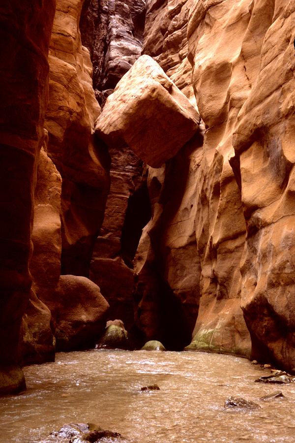 Wadi Mujib Siq Trail