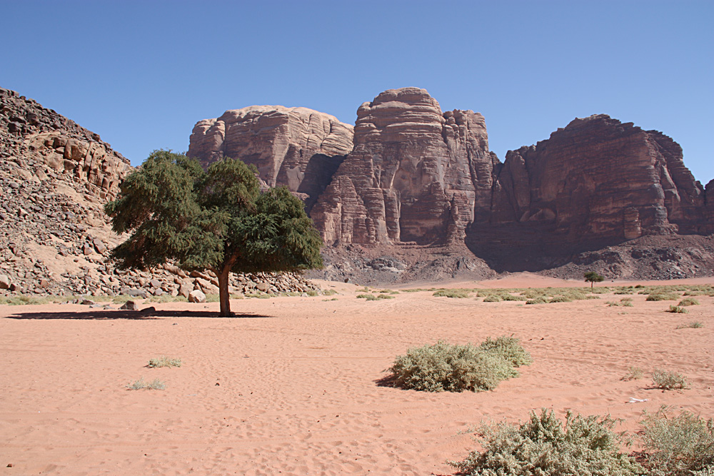 Wadi Ram