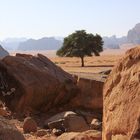 Wadi Rum 1