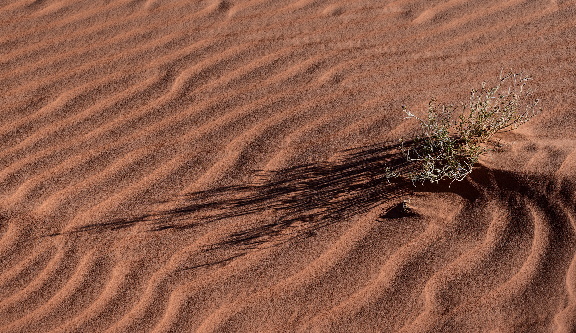 Wadi Rum