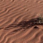 Wadi Rum