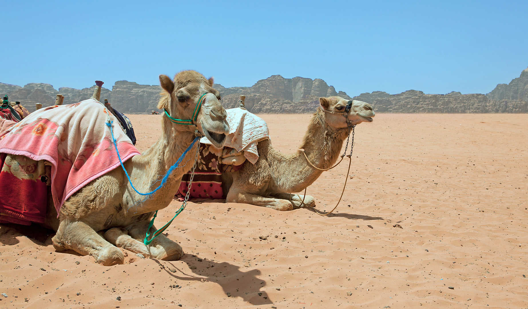 WADI RUM