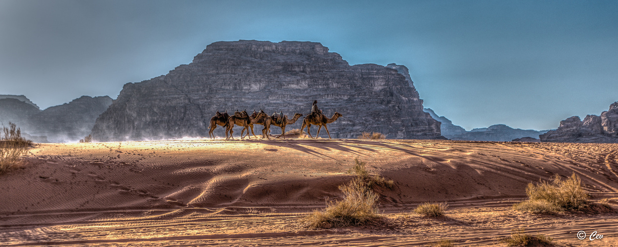 Wadi Rum 