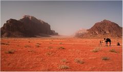 ~ Wadi Rum ~