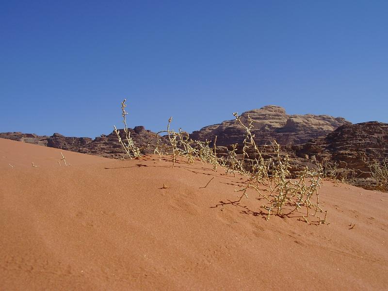 Wadi Rum