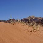 Wadi Rum