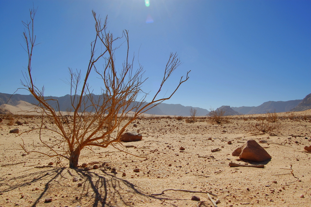 Wadi Rum