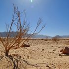 Wadi Rum