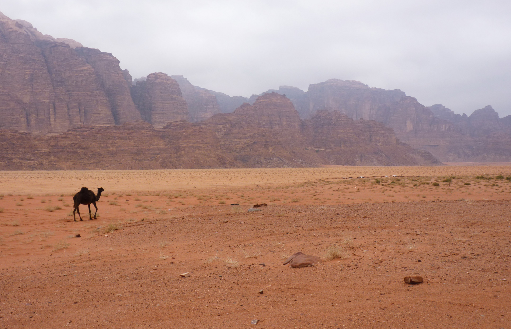 wadi Rum